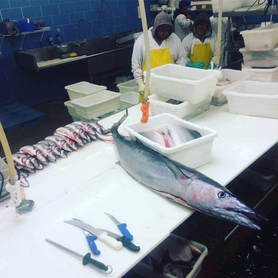 Seafood Merchants fillet table