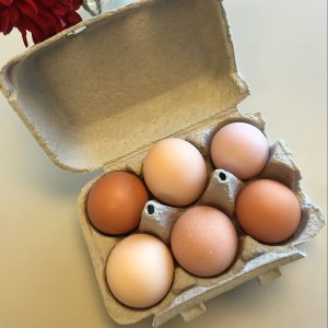 EGGceptional eggs