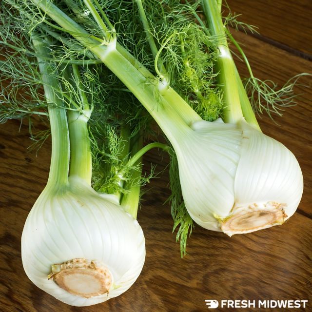 Here’s our Fennel tip! 💚

Proper storage is crucial for maintaining the freshness and flavor of fennel.
Before storing, remove the stalks and feathery fronds from the fennel bulb. Save them for later use in stocks or garnishes.

If your fennel comes with attached fronds, separate the bulb from the fronds before storing to prevent the bulb from drying out quickly. Store fennel bulbs in the refrigerator to preserve their freshness. Wrap them in a damp paper towel or plastic bag and place them in the crisper drawer.

For the best flavor, use fennel within a few days of purchase. If stored correctly, fennel can last up to a week in the refrigerator. By adhering to these storage suggestions, you can enjoy fresh and flavorful fennel in your dishes for an extended period.

Link in bio.
.
.
.
.
#SupportLocal#ShopSmallBusiness#FreshMidwest#GroceryDelivery#OnlineGrocery#DeliveryService#FoodDelivery#DoorStepDelivery#OnlineGroceryShopping#NoContactDelivery#ShopSmall#SmallBusiness#ShopLocal#LocalDelivery#InstaFood#DinnerIdeas#FoodGram#HomeCooking#midwest#chicago#wisconsin#picoftheday#mealkit#dinner#healthydinner#producetips#fennel